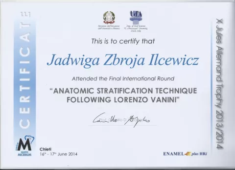 Anatomic Stratification Technique