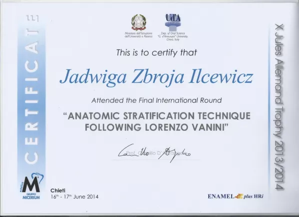 Anatomic Stratification Technique