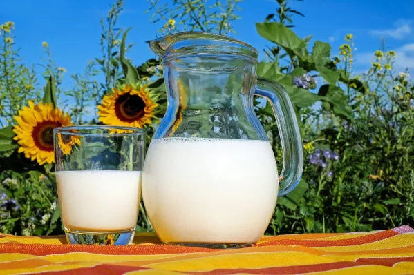 Czym jest biała dieta?